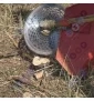 Tarcza tnąca widiowa do kosy spalinowej z widią uniwersalna