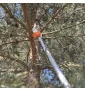 Piła łańcuchowa na kosę z wysięgnikiem 150 cm 28mm 9 zębów