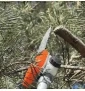 Piła łańcuchowa na kosę z wysięgnikiem 150 cm 28mm 9 zębów