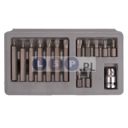 Zestaw Torx 15el. T20-T55 30 i 75mm nasadka HEX 1/2