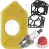 BRIGGS STRATTON FILTR POMPKA MEMBRANA BS